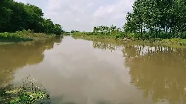 farmer drowned in Gangahar in Muzaffarnagar UP