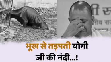 Photo of यूपी : गौशाला में भूख से तड़प कर दम तोड़ रही है योगी जी की नंदी